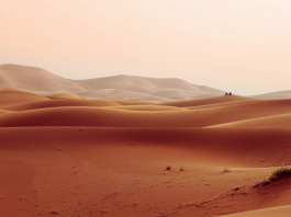 la-lucha-por-los-recursos-naturales-del-sahara-occidental