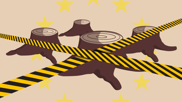 Las nuevas amenazas de los delitos medioambientales en la UE