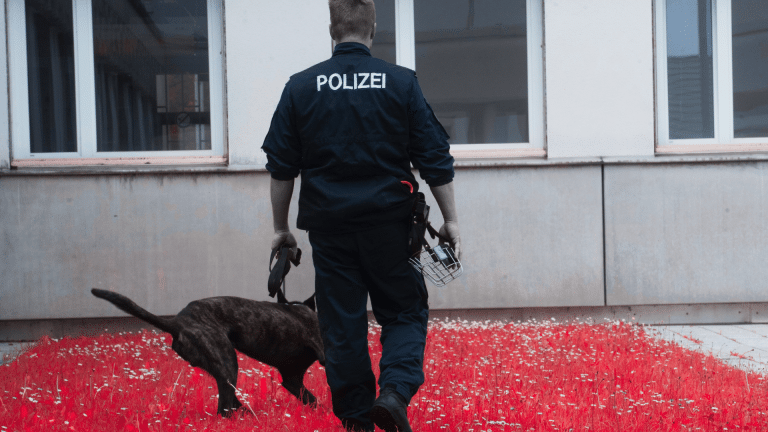 El modus operandi de la red criminal desmantelada por Europol que traficaba con personas de Bielorrusia a la UE