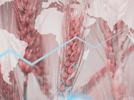 la-crisis-alimentaria-esta-afectando-de-manera-desproporcionada-a-los-paises-en-conflicto