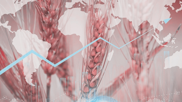 La crisis alimentaria está afectando de manera «desproporcionada» a los países en conflicto
