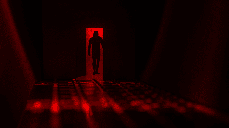 ¿Cómo es el perfil del ciberdelincuente?