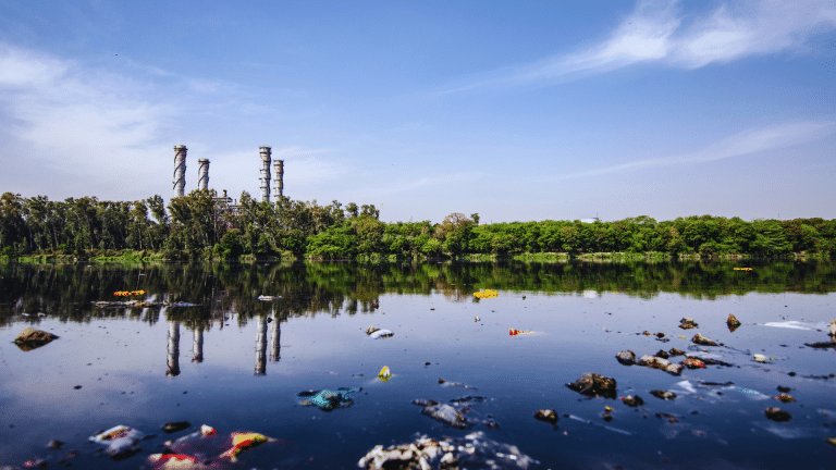 El nexo entre la delincuencia organizada y los delitos por contaminación