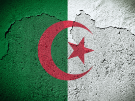 la-geoestrategia-de-argelia