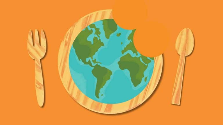 Por qué la crisis   alimentaria global no se resolverá fácilmente