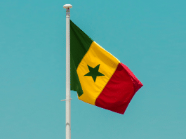 el-principal-candidato-opositor-de-senegal-recien-liberado-de-prision-gana-las-elecciones-presidenciales