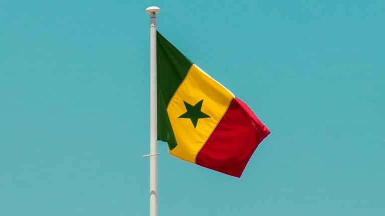 El principal candidato opositor de Senegal, recién liberado de prisión, gana las elecciones presidenciales