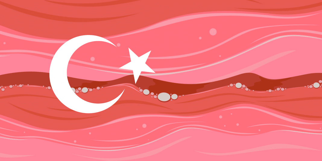 El ascenso de Turquía ¿cómo está expandiendo su influencia hacia el Océano Índico