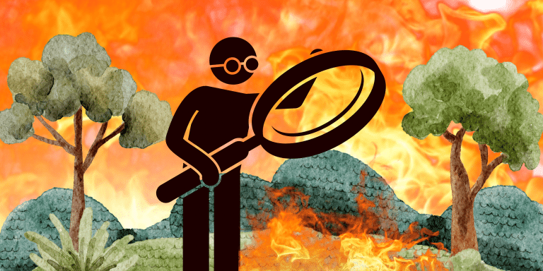 Criminología Ambiental: Un nuevo enfoque para la prevención y lucha contra los incendios y delitos ambientales