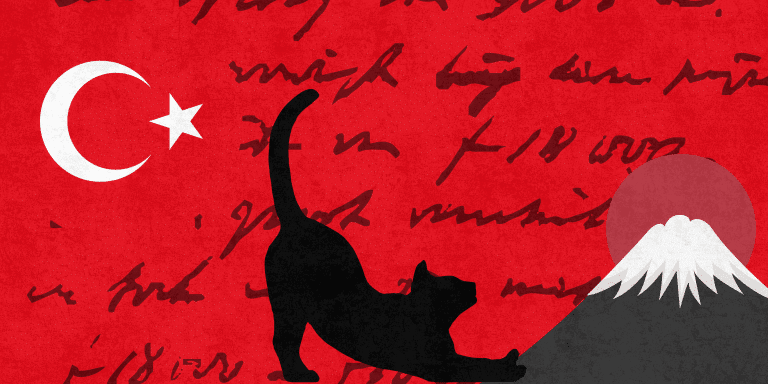 ¿Qué es la diplomacia del gato?