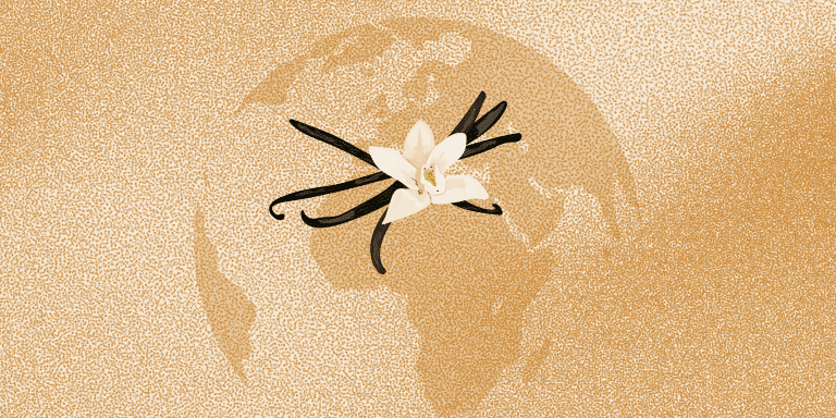 La geopolítica de la vainilla de Madagascar: entre el oro negro y la pobreza extrema