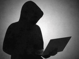 Operación internacional desmantela 373.000 páginas fraudulentas de la dark web