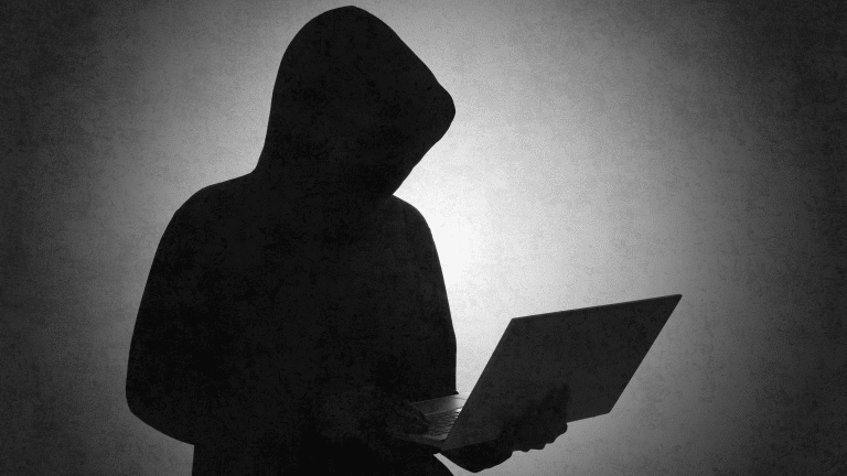 Operación internacional desmantela 373.000 páginas fraudulentas de la dark web