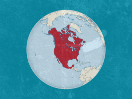 Uso de la renegociación del T-MEC en 2026 como instrumento de contención de empresas chinas en México