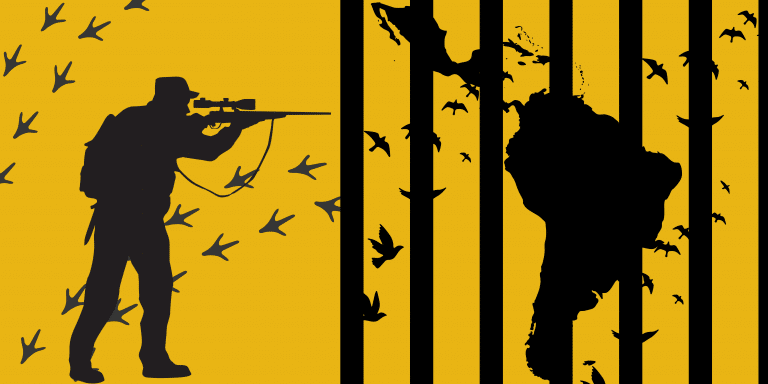 Tráfico ilegal de especies en América Latina: economía criminal transnacional y un desafío para la seguridad regional