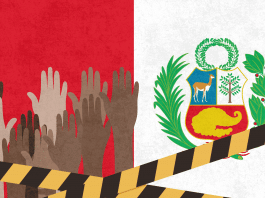 Cuando el miedo sustituye al voto: inseguridad, crimen organizado y democracia en Perú