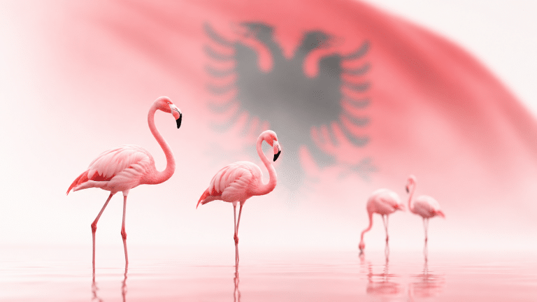 Albania en llamas: las claves de la revolución de los flamencos